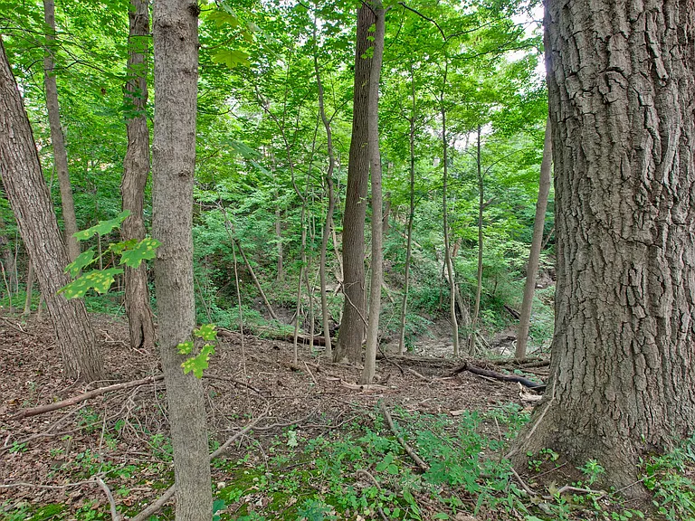 427 N Sheridan Rd — Photo 46
