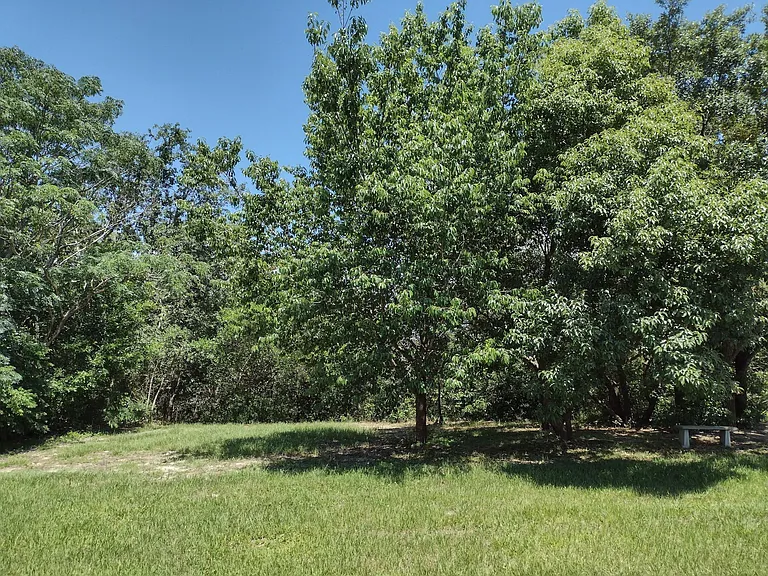 7396 Pond Cir — Photo 13