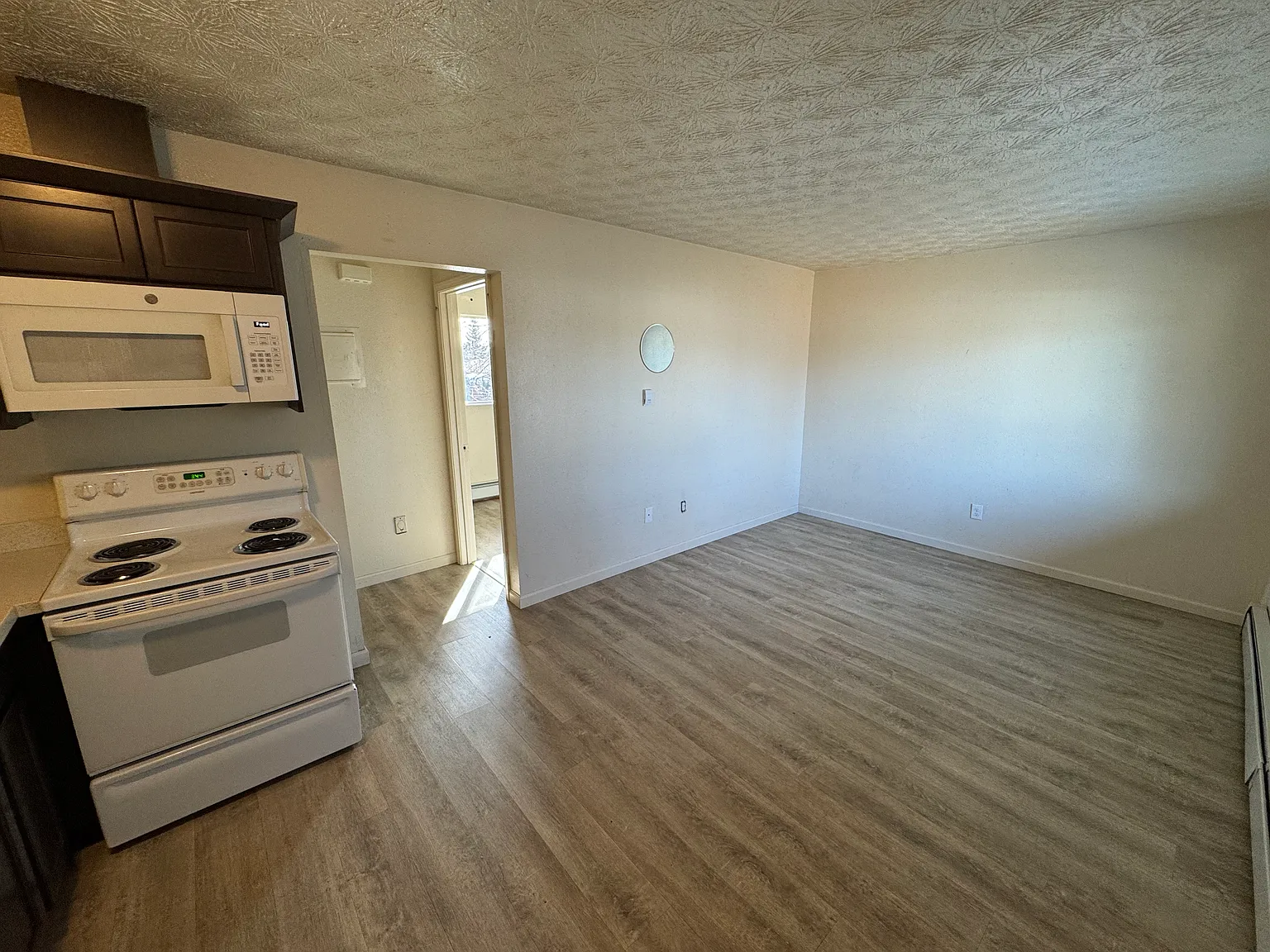 1 bed, 400 sqft, $1,250 — Photo 4