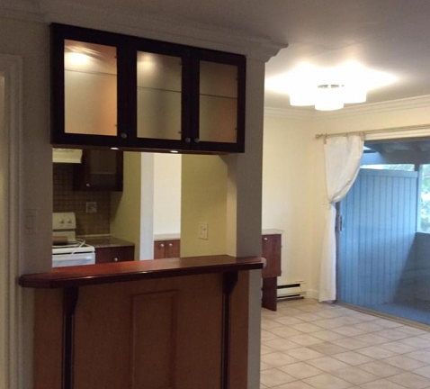 3rd image of 2201 Village Ct APT 6