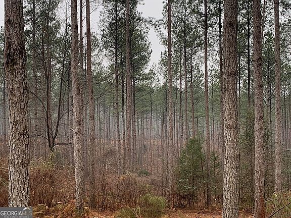 4th image of 2660 Parham Town Rd