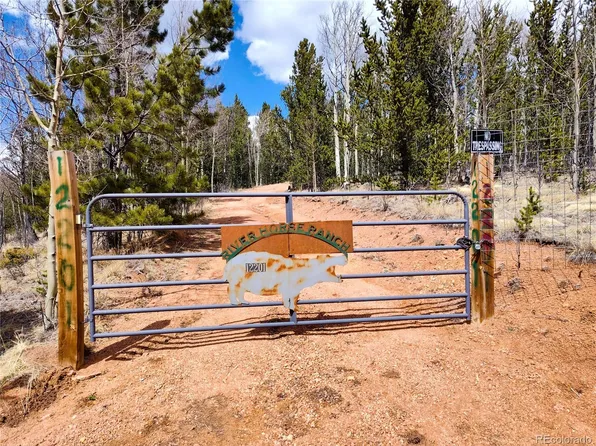 12201 S State Highway 67, Divide, CO 80813