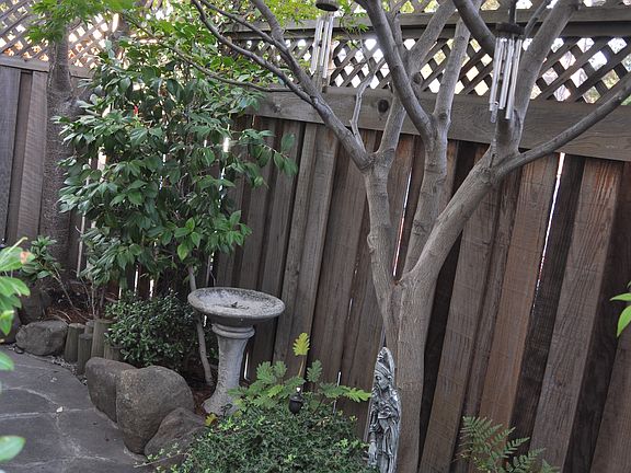 3rd image of 1755 California Dr APT 8
