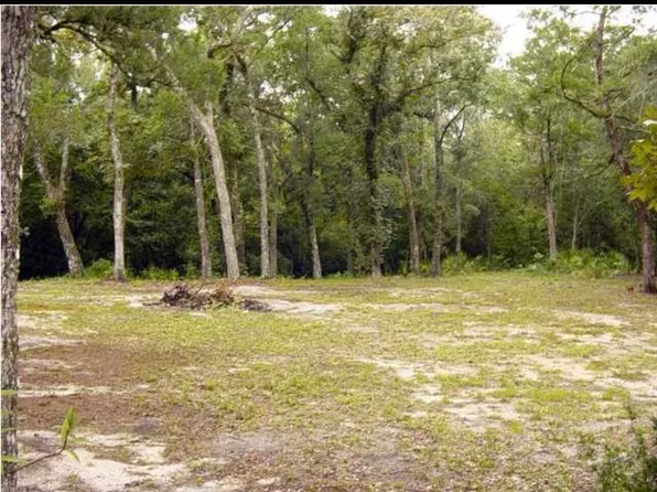 125 Sycamore Dr, Freeport, FL 32439