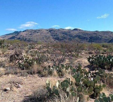4th image of 4250 S Saguaro Monument Pl