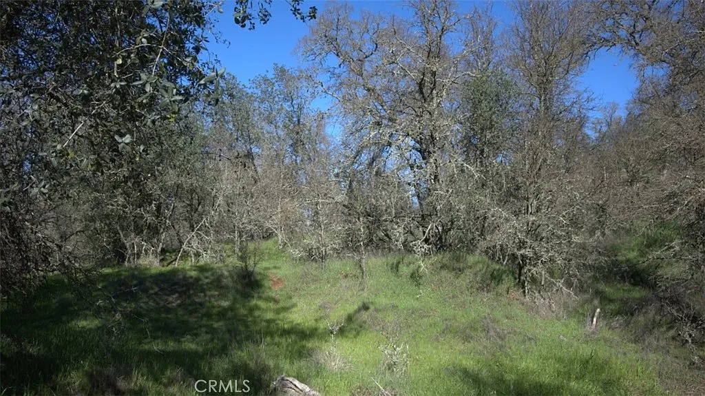 123 Railbridge Rd photo 1