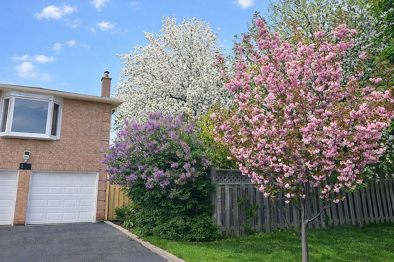 Brampton House for rent - 3 Bedrooms — photo 20