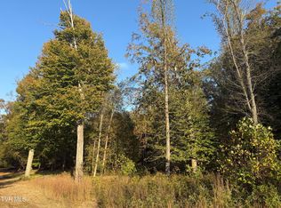 Smith Hollow Rd, Church Hill, TN 37642