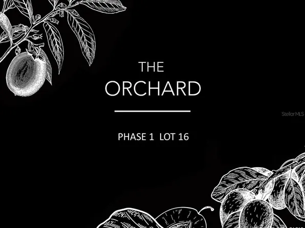 12558 SW 58th Pl, Archer, FL 32618