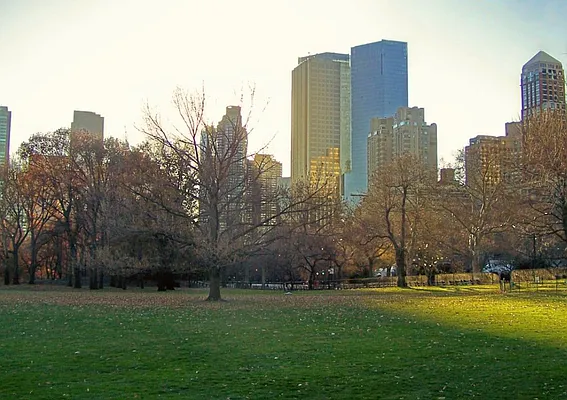 Rented by Keyo  | media 32