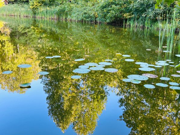 369 Shumont Rd UNIT 1