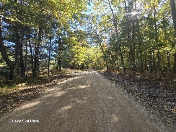 0 N Eleven Mile Rd, Irons, MI 49644