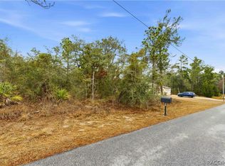 11063 Liberto Rd, Weeki Wachee, FL 34614