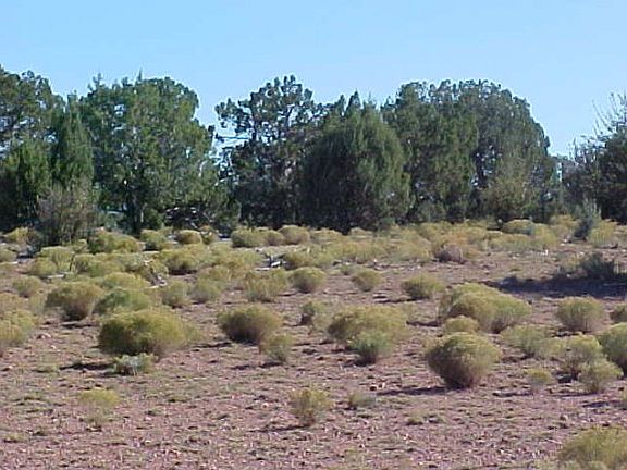 3rd image of 0 N Antelope Dr