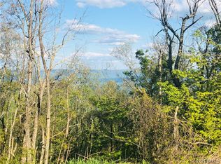 0 Airport Rd, Clifton Forge, VA 24422