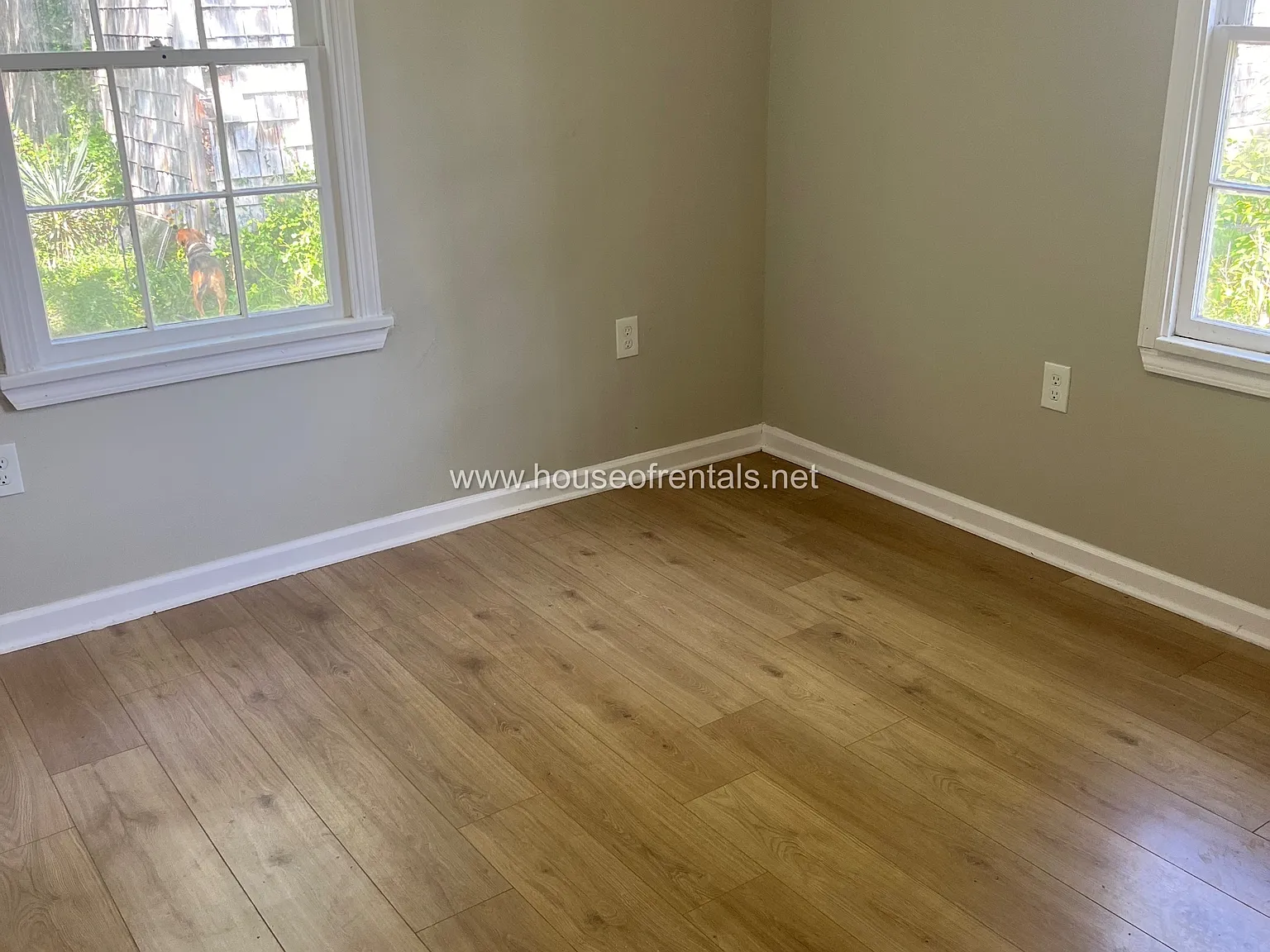17 Orchard Drive - B — Photo 3