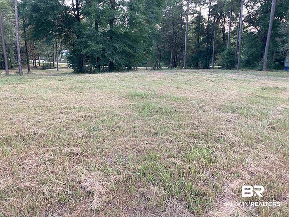 3rd image of 15400 Amazon Rd