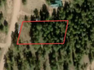 372 Pinewood Rd, Florissant, CO 80816