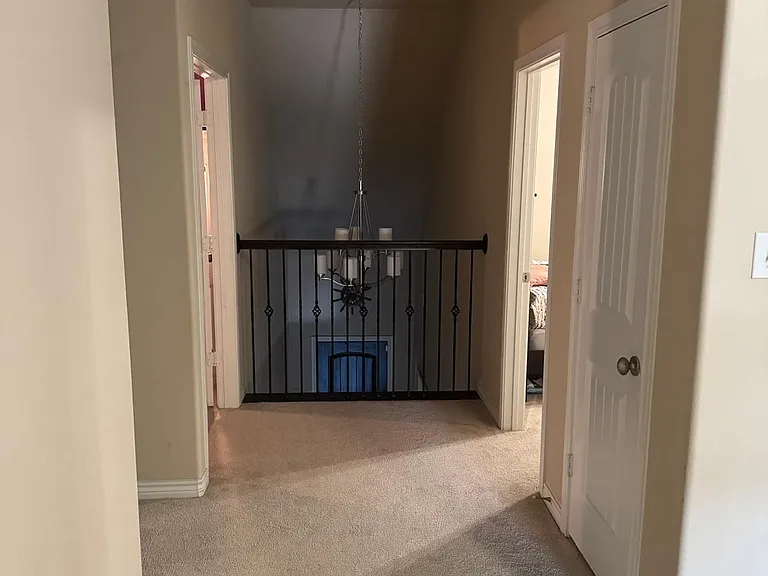 1117 Horsetail Dr — Photo 19
