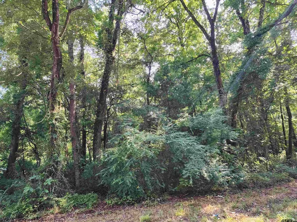 County Road 378 Hobbs Rd, Tyler, TX 75708