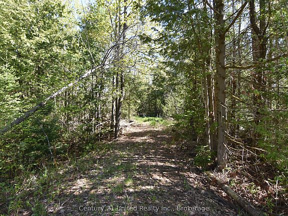2nd image of 2682 Steenburg Lake Rd N