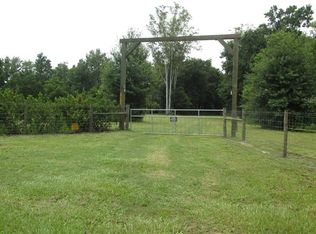 14116 Carter Island Rd, Groveland, FL 34736