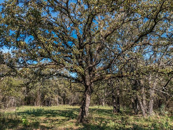 Owner Finance Land in Brown County with Large Oak Trees and Homesites