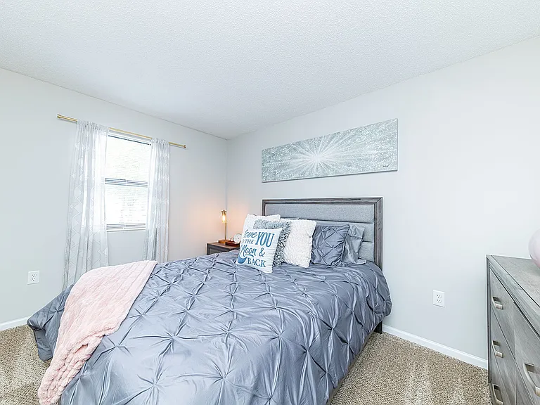 Cozy bedroom with carpet
