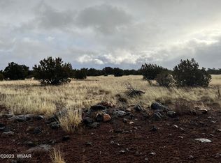 8559 Pine Ln, Show Low, AZ 85901