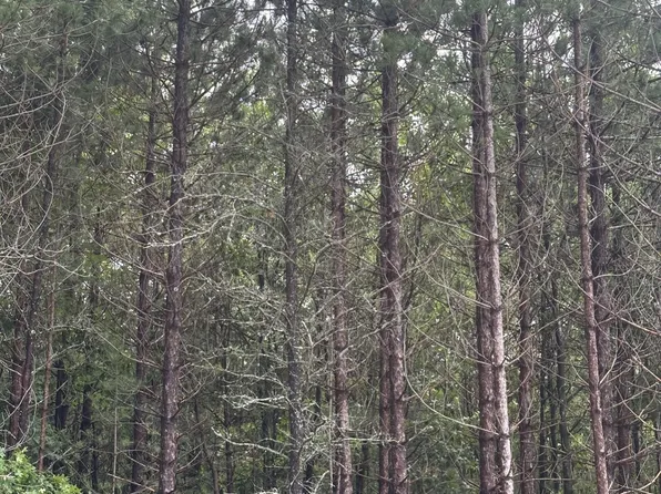 Near Cth Y S Rns Lot 3, Tomahawk, WI 54487