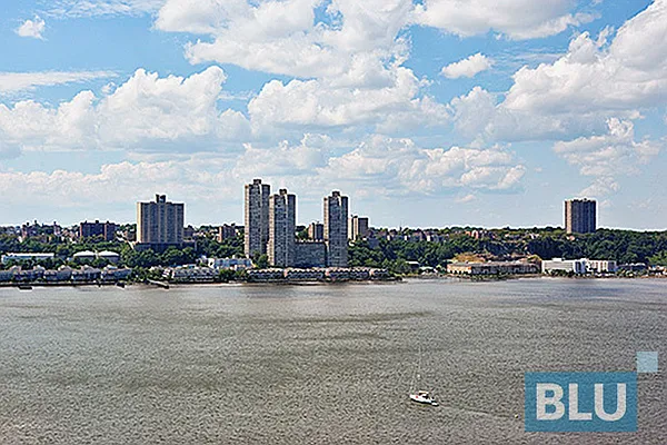 Rented by BLU Real Estate | media 56