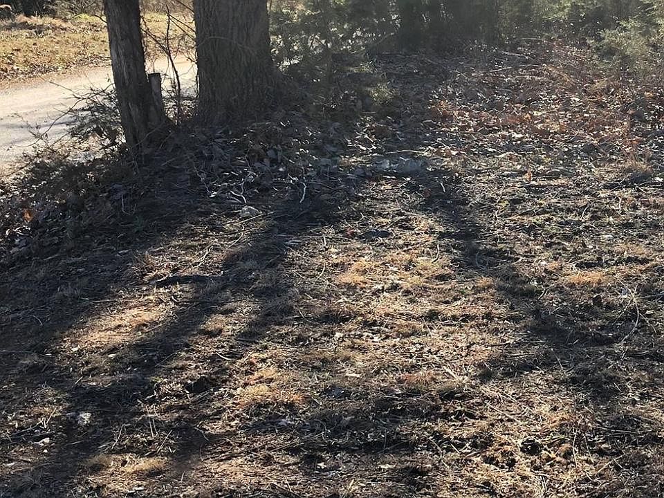 2nd image of 7461 Virginia Byway