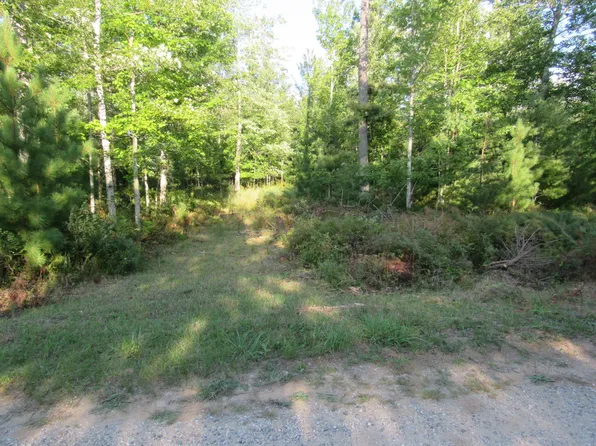 9 Pine Lodge Trl, Roscommon, MI 48653