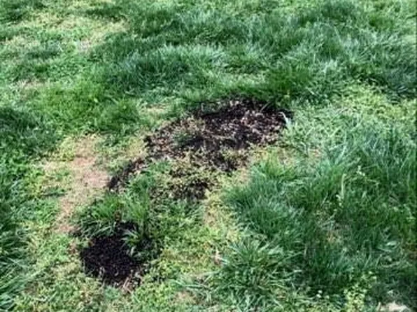 400 W Park Ave, Charlotte, NC 28203