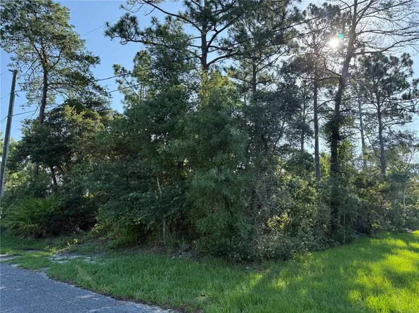 Hickory Ave Lot 13, Orange City, FL 32763