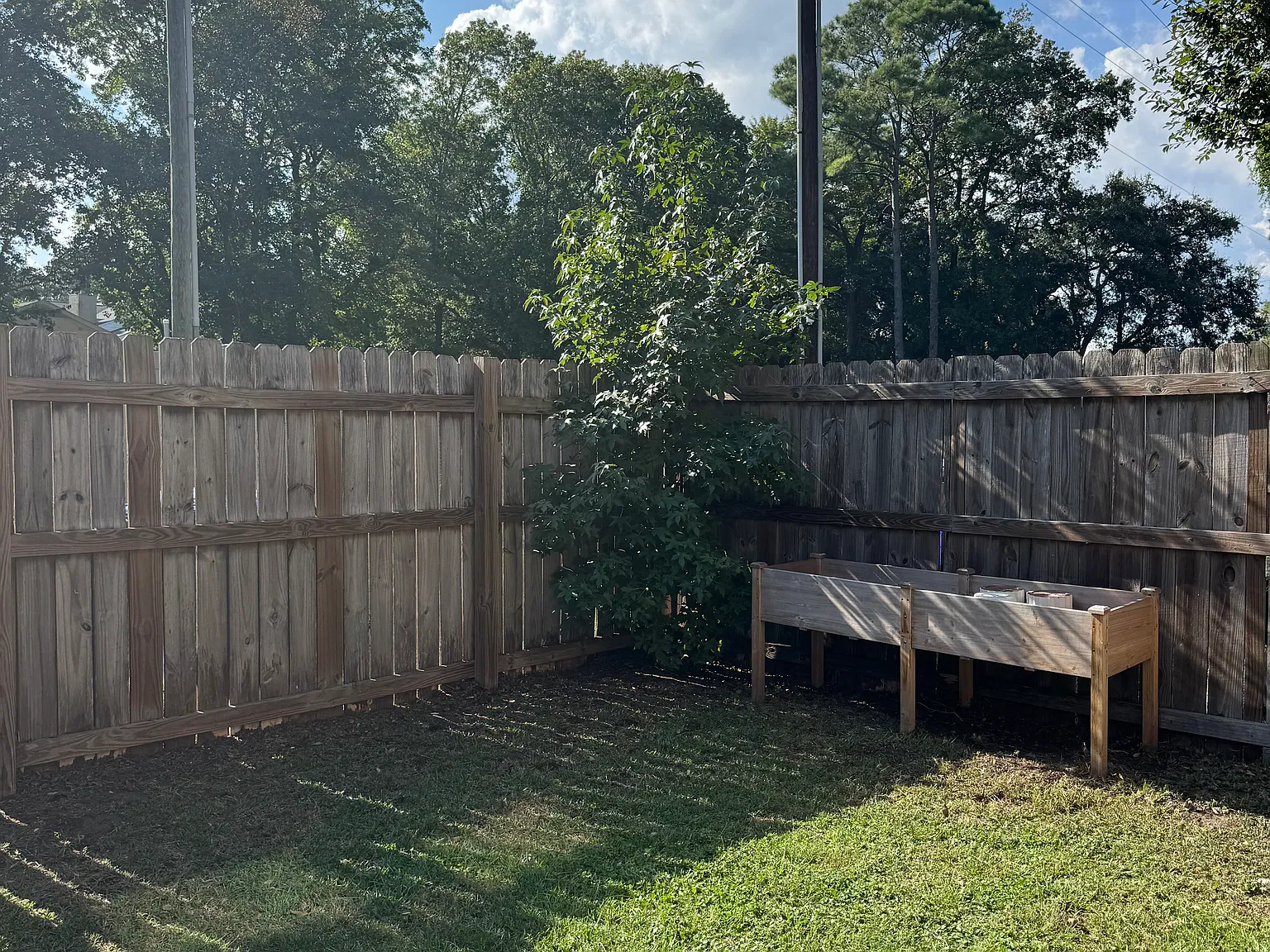 3 bed, 1.5 bath, 1400 sqft, $2,800 — Photo 3