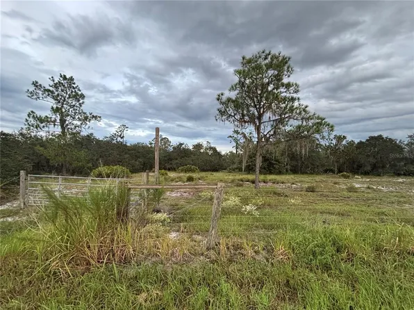0 Gabriel Rd, Fort Meade, FL 33841