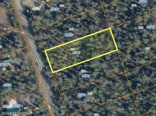 48717 S Silver Salmon Dr, Talkeetna, AK 99676