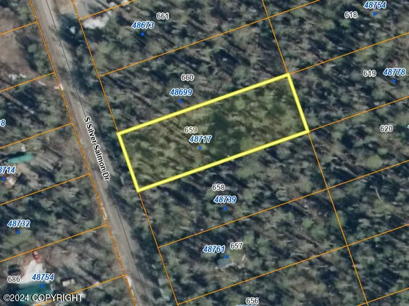 48717 S Silver Salmon Dr, Talkeetna, AK 99676