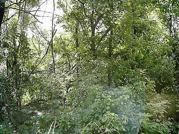 3rd image of Cooper Ave Lot 9-16
