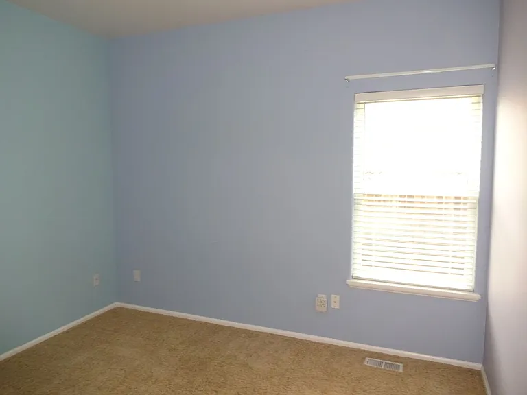 1233 Frogs Leap Ln — Photo 11