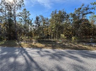 19 Glenridge Cir, Homosassa, FL 34446