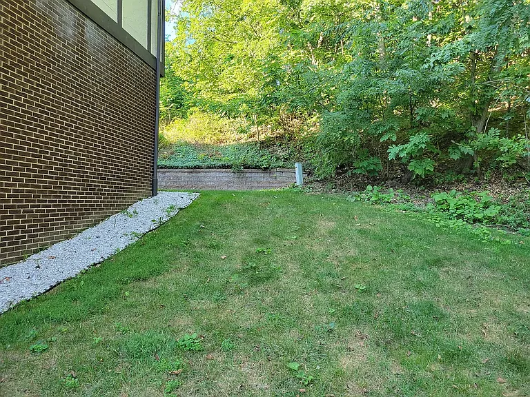 Side Yard