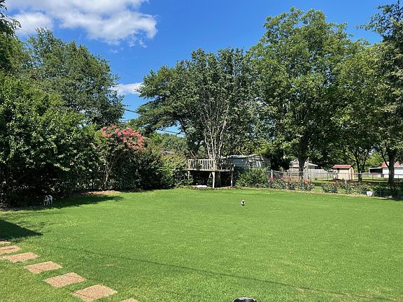 back yard