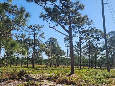 24690 Loblolly Bay Rd SW, Labelle, FL, 33935