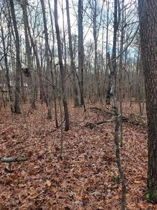 0 Hawks Bluff Rd Lot 132, Spencer, TN, 38585