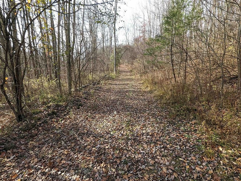 0 Wolf Run Rd, Campbell, NY 14821 MLS 273117 Zillow