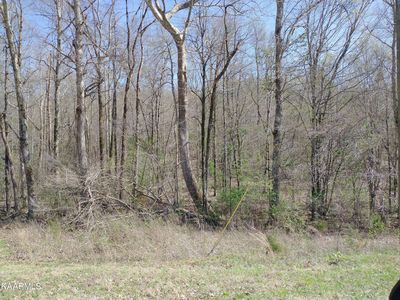 0 Meadow Rd W, Greenback, TN, 37742