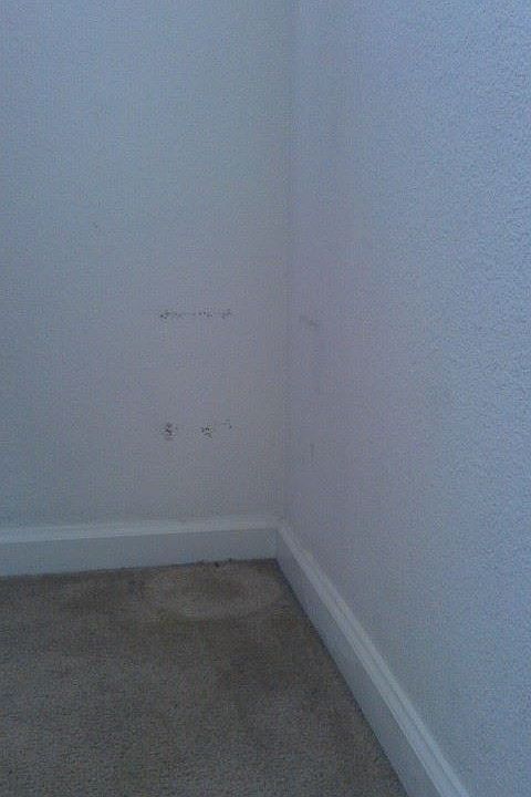 2nd image of 205 N Bella Monte Ave