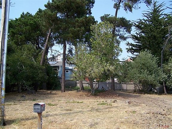 View of lot from street.  Slight upslope and lightly treed makes for easy build.